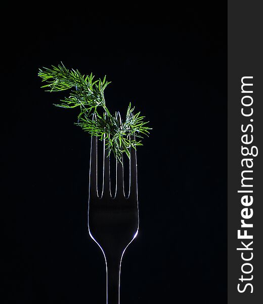 Green fennel caught on a shining metal plug on a black background in backlight. Green fennel caught on a shining metal plug on a black background in backlight