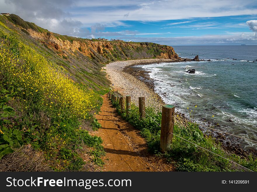 Beautiful view of yellow flowers covering steep Pelican Cove cliffs during the California Super Bloom of 2019 with stunning cloudscape on a sunny day, Tovemore Trail, Rancho Palos Verdes, California. Beautiful view of yellow flowers covering steep Pelican Cove cliffs during the California Super Bloom of 2019 with stunning cloudscape on a sunny day, Tovemore Trail, Rancho Palos Verdes, California