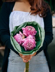Lotus Flowers Bouquet - Pink Lotus Flowers In Woman Hands Royalty Free Stock Photography