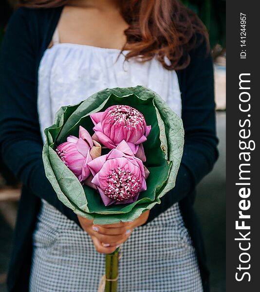 Lotus flowers bouquet - pink lotus flowers in woman hands
