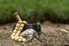 Free Tibetan Singing Bowl Sitting In Some Hay Royalty Free Stock Image - 141267756