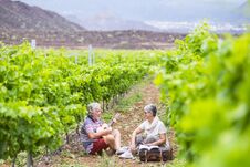 Couple Of Alternative Aged Older Traveler Stay Sitting Down In A Vineyard With The Luggage And Playing An Ukulele Acoustic Guitar Royalty Free Stock Image