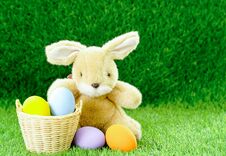 Bunny Toy And Easter Eggs In Basket Stock Image