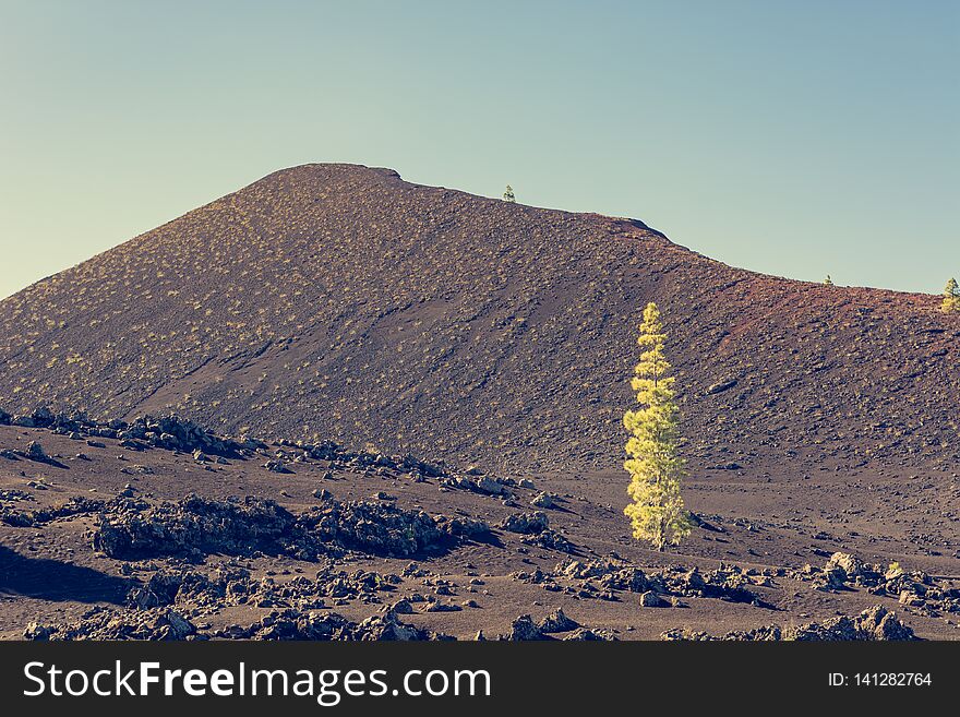 Volcano Chinyero - Last eruption dates back to 1909. Teide, Tenerife.