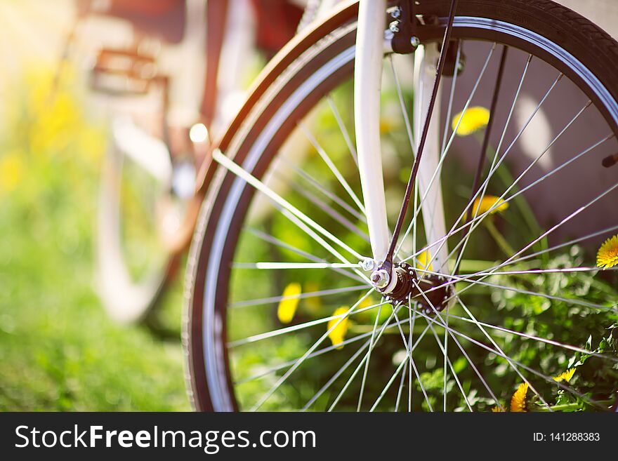 Bicycle In The Forest In Spring