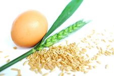Wheat Ears And Grain With An Egg Royalty Free Stock Photo Wheat Ears And Grain With An Egg Royalty Free Stock Photo