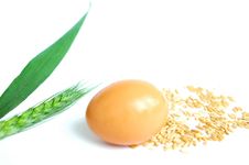 Wheat Ears And Grain With An Egg Royalty Free Stock Image