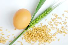 Wheat Ear And Grain With An Egg Royalty Free Stock Photos