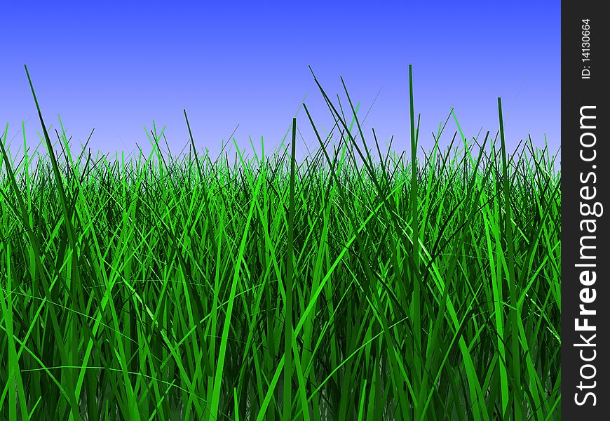 3d illustration of green grass closeup, over blue sky background. 3d illustration of green grass closeup, over blue sky background