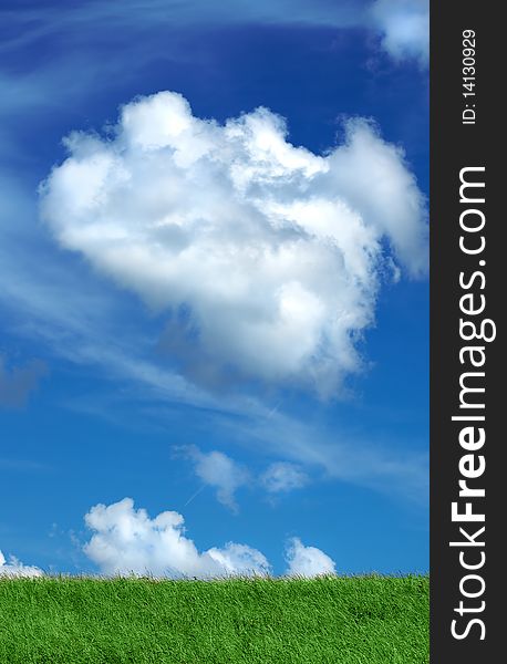 Green field and blue sky with white clouds. Green field and blue sky with white clouds
