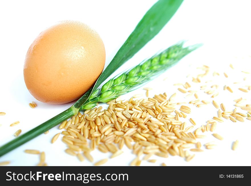 Wheat ears and grain with an egg