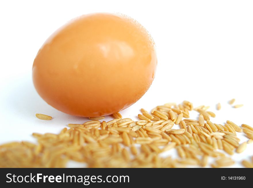 Closeup view of egg and wheat grain isolated on white background