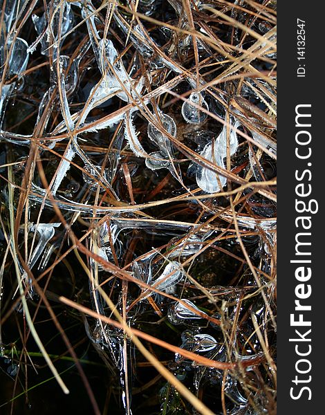 A closeup on frozen drops in november grass. A closeup on frozen drops in november grass
