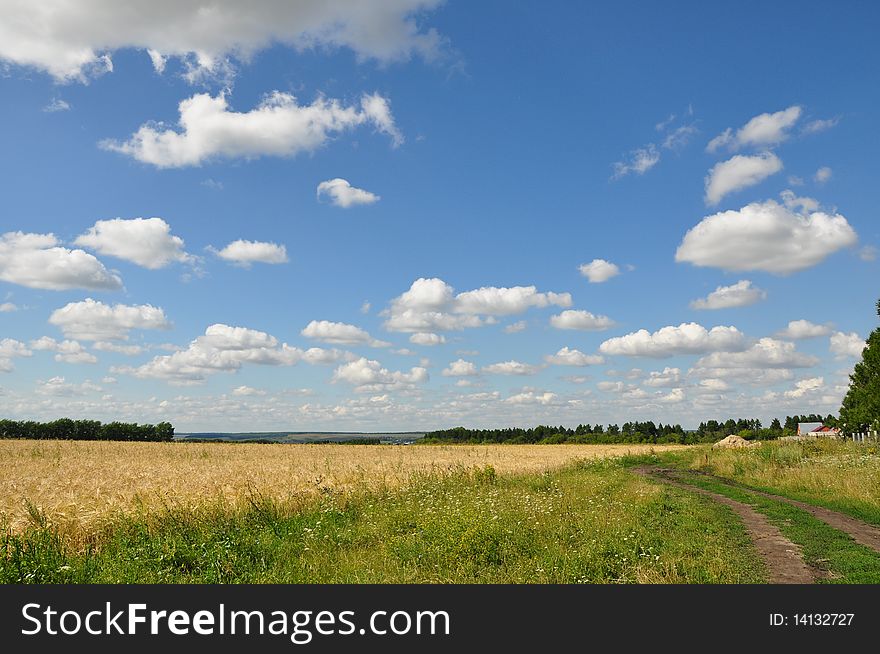 The cloudy sky over a field. The cloudy sky over a field.