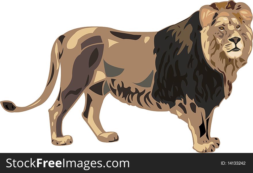 Lion is the largest cat. Lion is the largest cat