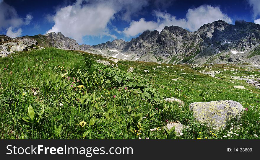 Spring in mountains - panoramic view