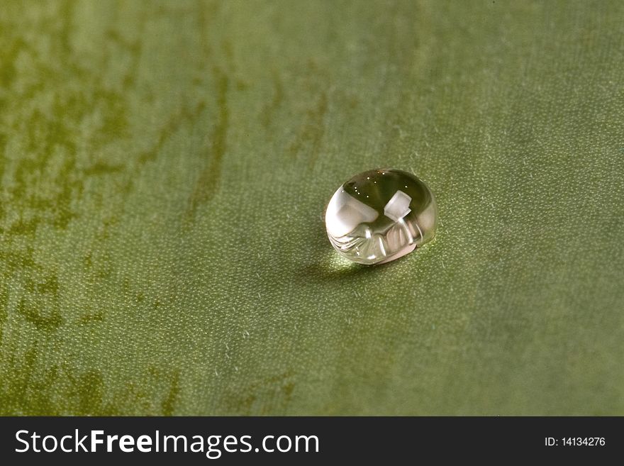 Water drops on a green background
