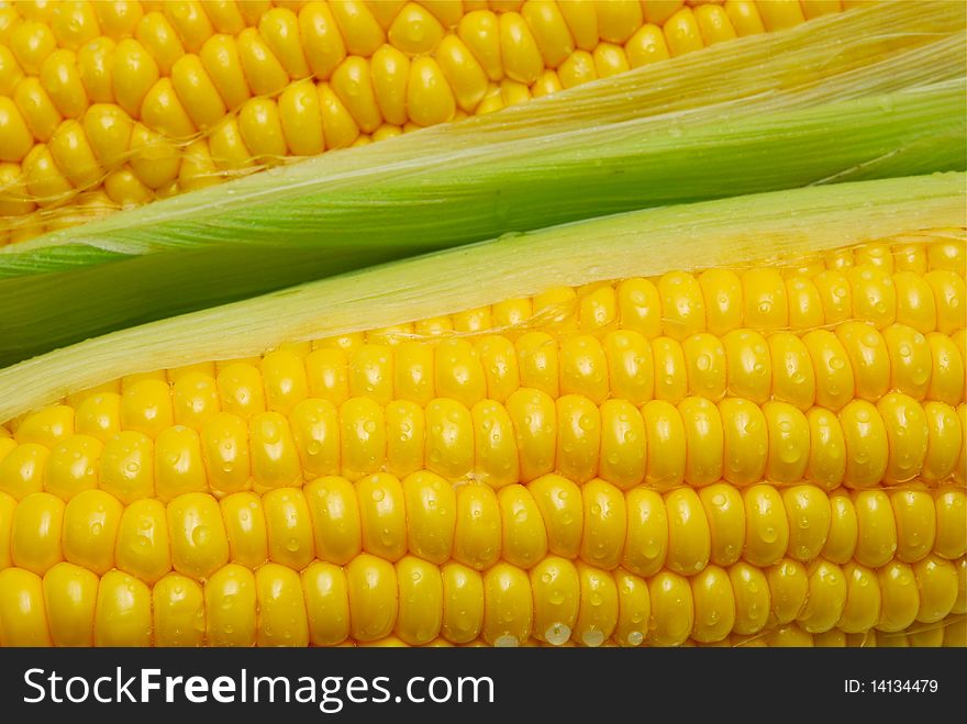 Close up of fresh yellow corn cobs. Close up of fresh yellow corn cobs