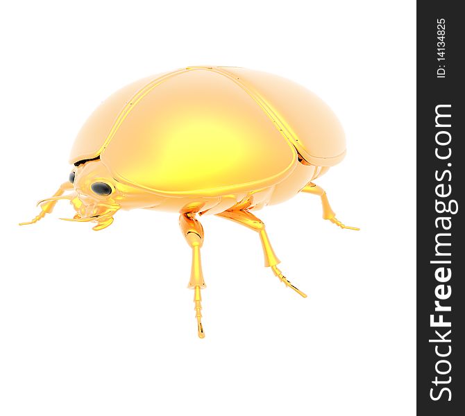 Golden bug isolated on a white