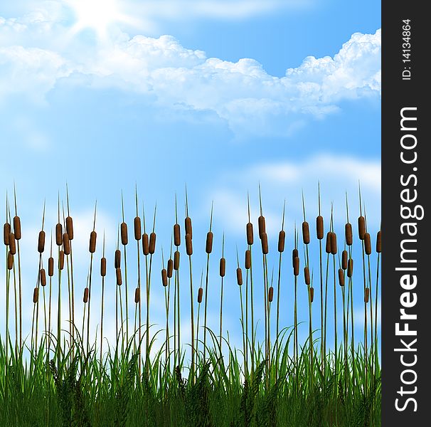 Green grass with blue sky and clouds