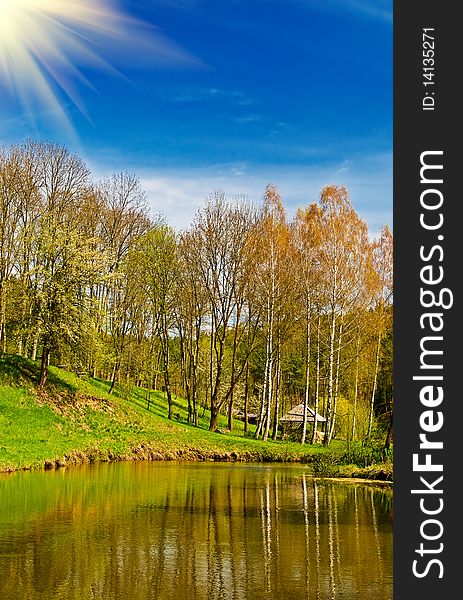 Beautiful sun above spring grove and pond by spring. Beautiful sun above spring grove and pond by spring.