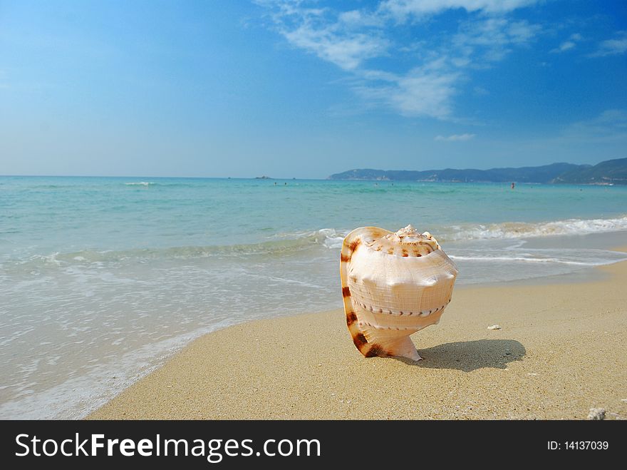 Placed on the beach on the Nautilus. Placed on the beach on the Nautilus