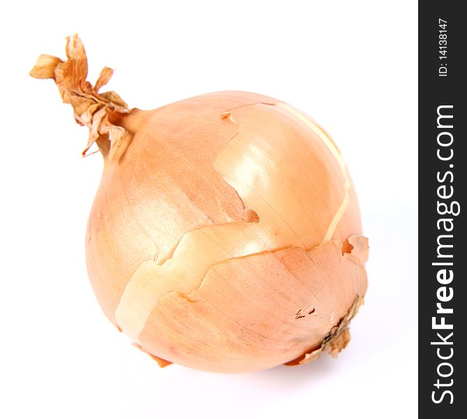 Fresh onion on white background