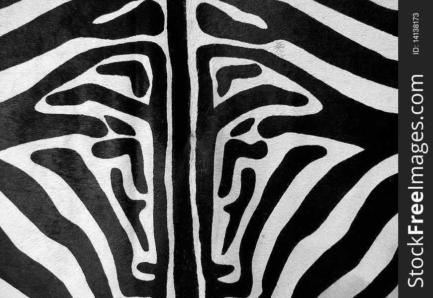 Zebra texture-white and black