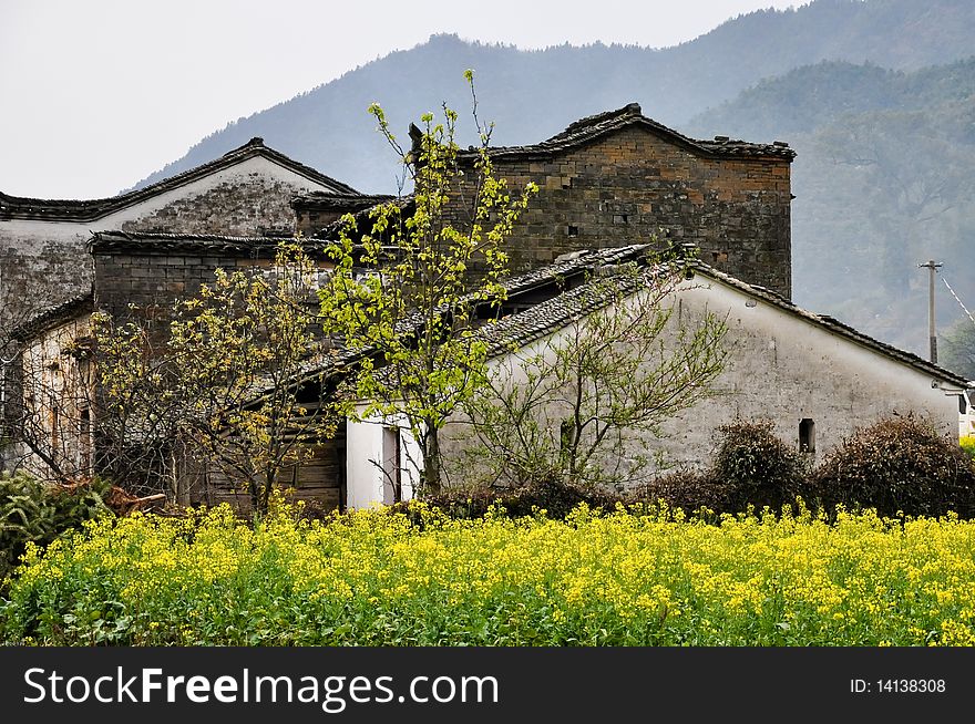 Cole Flowers and Houses in WuYuan, JiangXi, China