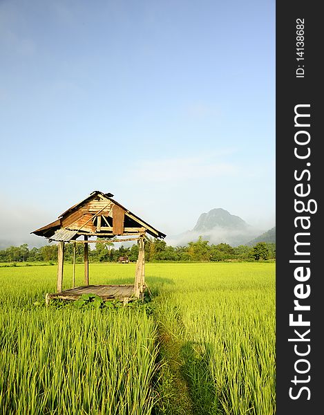Rice fields and Mountain in Laos