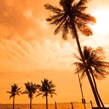 Silhouette Of Coconut Palm Trees Along The Beach And Sea With Sun Highlight Sky And Clouds Background Royalty Free Stock Photo