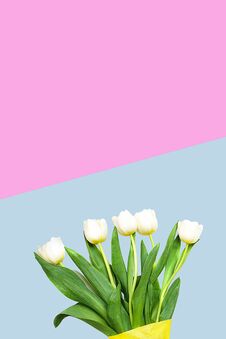 Spring White Tulips Flowers On Pastel Blue And Pink Background. Happy Easter Card. Flat Lay, Top View. Copy Space. Concept Of Gift Stock Photos