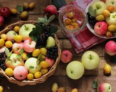 Village Garden Berries And Fruits: Apples, Plums, Chokeberry In The Basket Royalty Free Stock Image Village Garden Berries And Fruits: Apples, Plums, Chokeberry In The Basket Royalty Free Stock Image