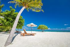 Free Beautiful Beach With Palm Trees And Moody Sky. Summer Vacation Travel Holiday Background Concept. Stock Photo - 141395400