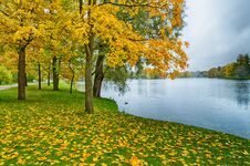Autumn Landscape In The Park Royalty Free Stock Images