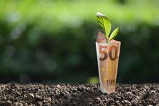 Free Image Of EURO Money Banknote With Plant Growing On Top For Business Royalty Free Stock Image - 141397176