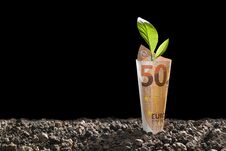 Free Image Of EURO Money Banknote With Plant Growing On Top For Business Royalty Free Stock Photos - 141397288