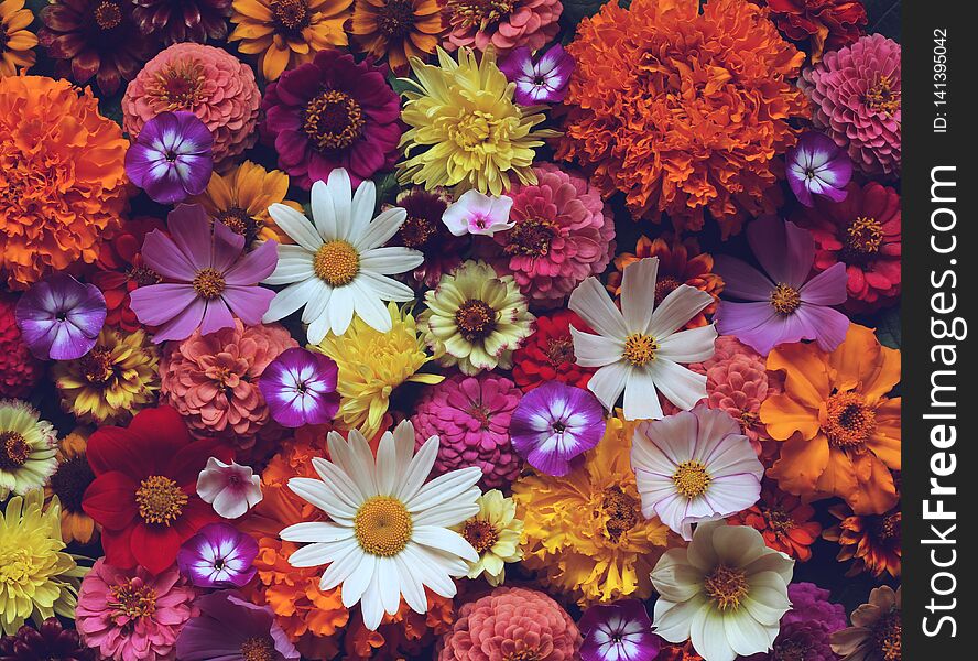 Floral Background, Bouquet Of Garden Flowers, Top View