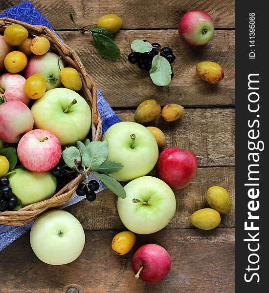 Rustic garden apples, plums, black chokeberry on a rough Board table, top view. Berries and fruit in the basket. Rustic garden apples, plums, black chokeberry on a rough Board table, top view. Berries and fruit in the basket