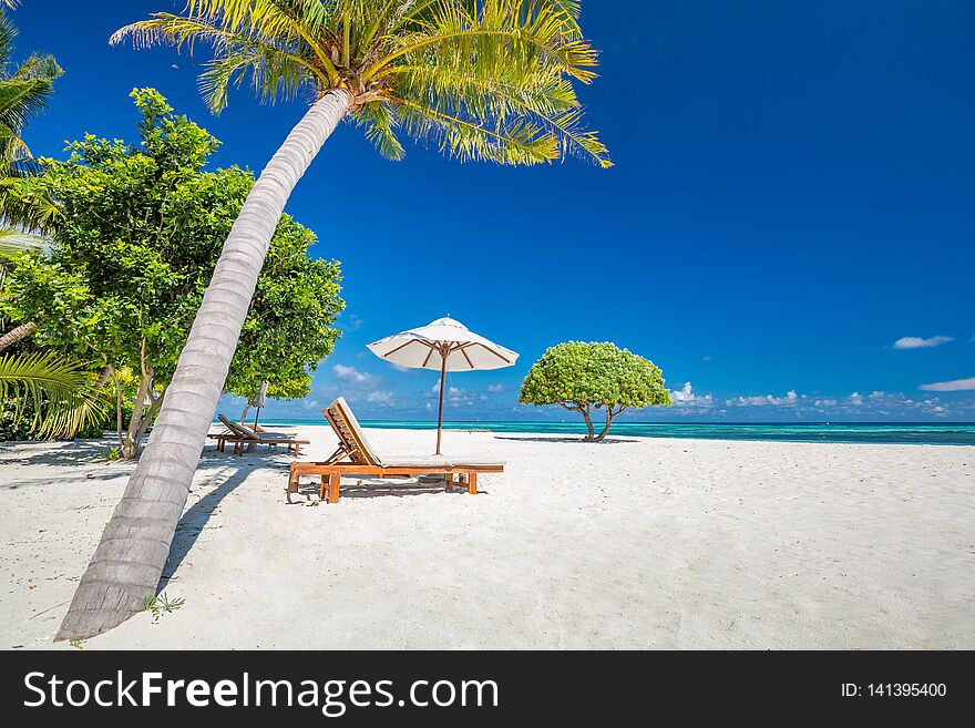 Beautiful beach with palm trees and moody sky. Summer vacation travel holiday background concept.