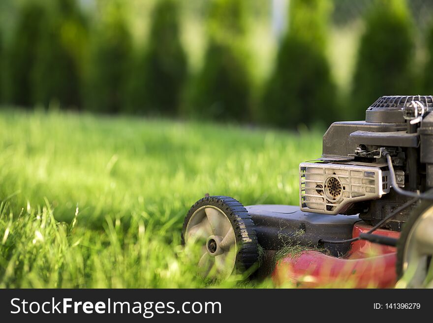 Lawn mower cutting green grass. Lawn mower cutting green grass