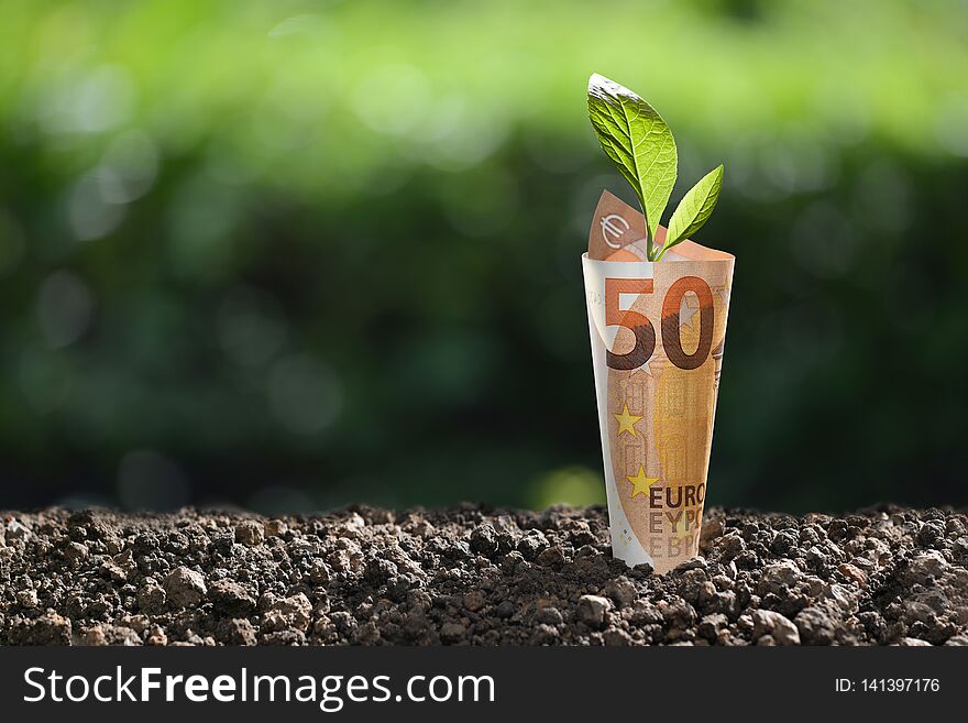 Image of EURO money banknote with plant growing on top for business, saving, growth, economic concept