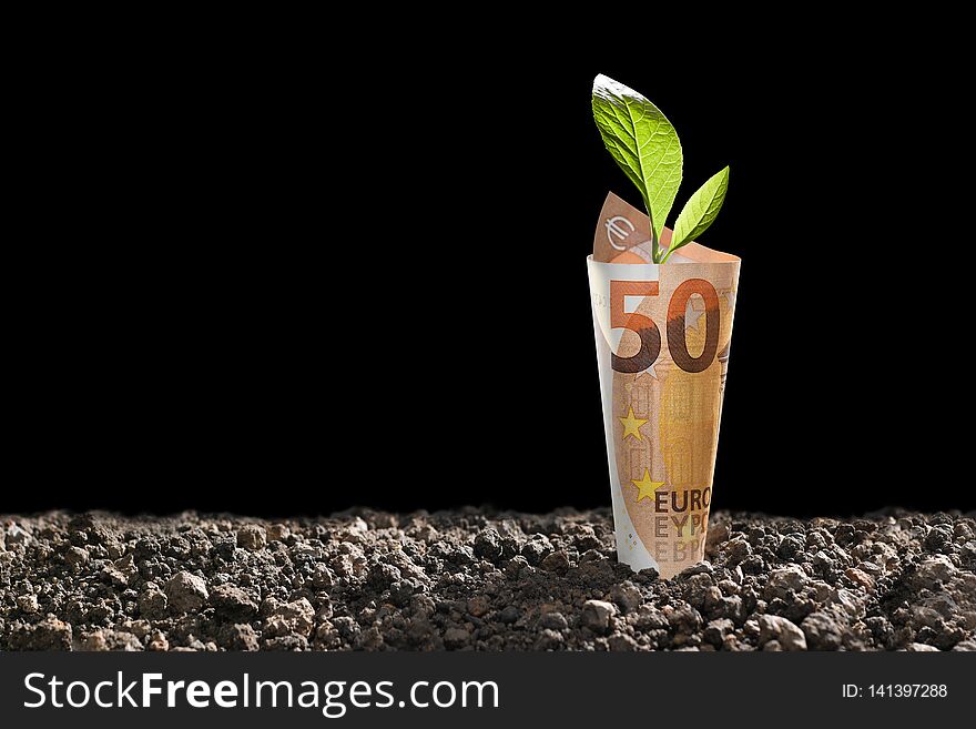 Image of EURO money banknote with plant growing on top for business, saving, growth, economic concept isolated on black background