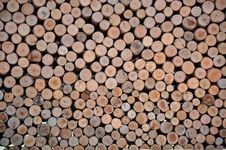 Wooden Cross Section Stock Image Wooden Cross Section Stock Image