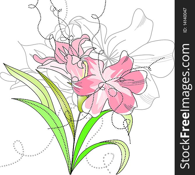 Lily flowers. Universal template for greeting card, web page, background