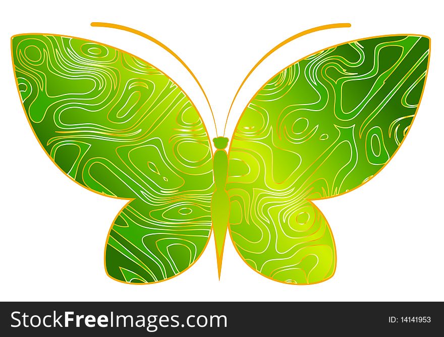 Abstract Tropical Butterfly. Beautiful illustration