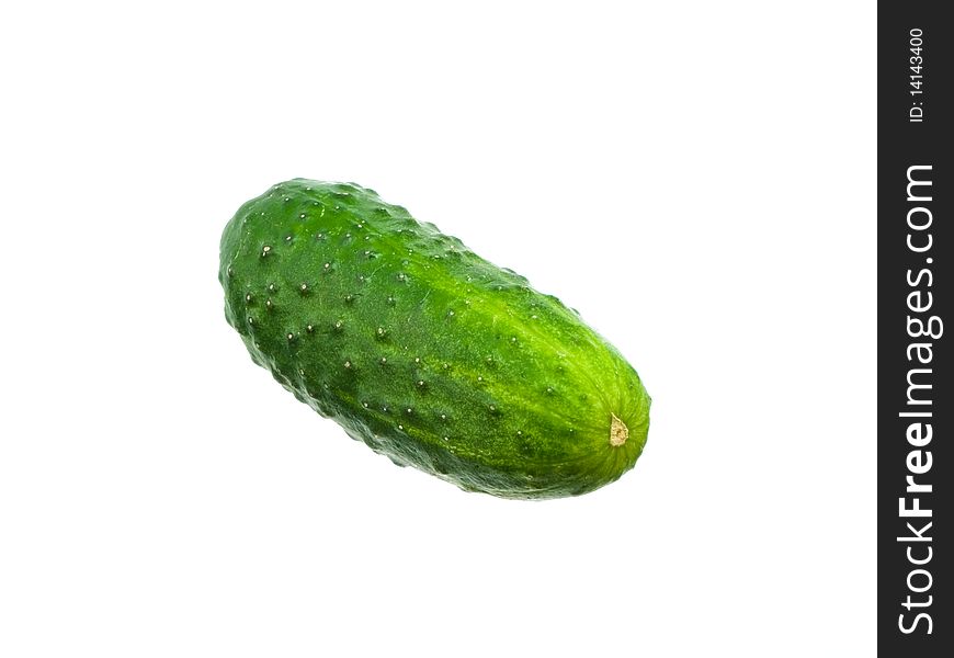 Green whole cucumber one is located on white background. Green whole cucumber one is located on white background