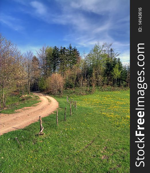 Lawn in spring on mountain Divcibare,Serbia.