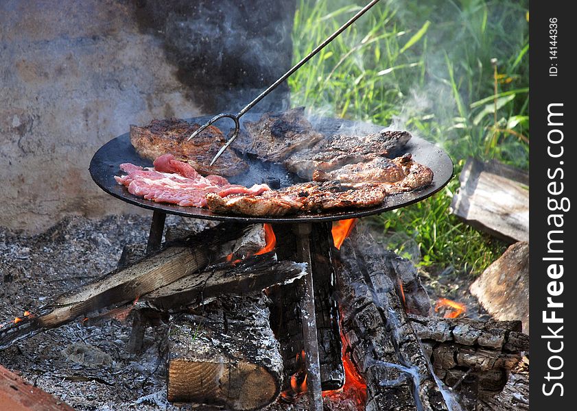 Meat on the barbecue at picnic