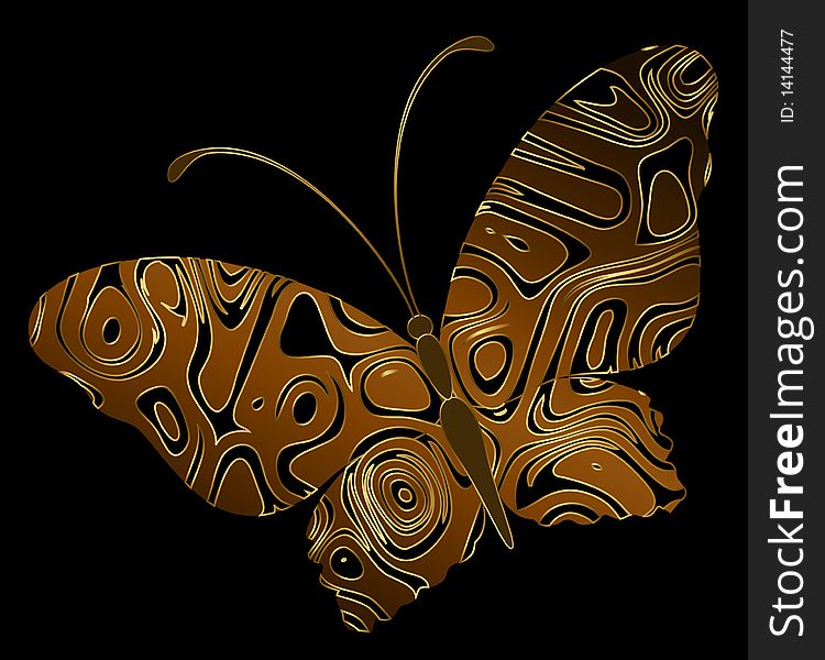 Abstract Tropical Butterfly. Beautiful illustration